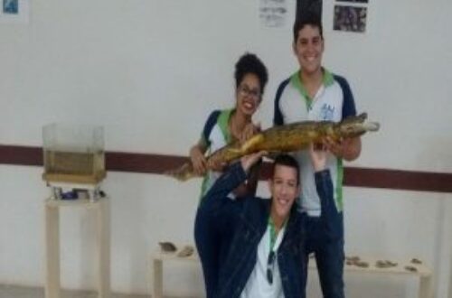 Article : Brésil: La foire de sciences du cours de technicien d’aquaculture
